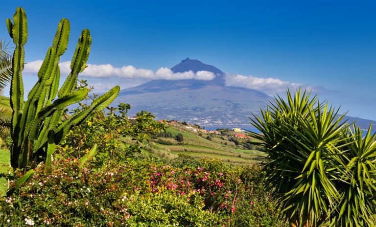 Höhepunkte Azoren @tane-mahuta/istock